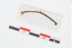 Foto von Goldbandbeschlag (NHMW-PRAE-024611)